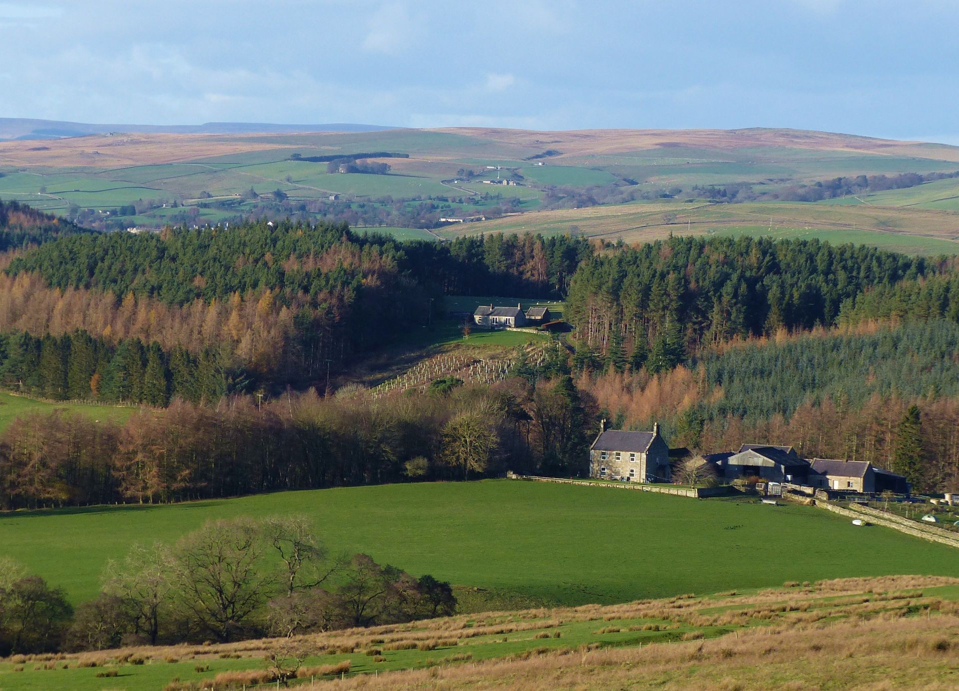 Heugh and Countess Park